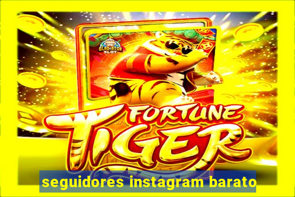 seguidores instagram barato